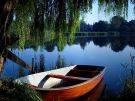 Vorschaubild Pension Am See - Bed and Breakfast