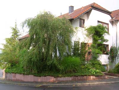 Pension Weitblick
