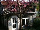 Weiterstadt-Gr�fenhausen: Wolf G�ste-Apartments Weiterstadt