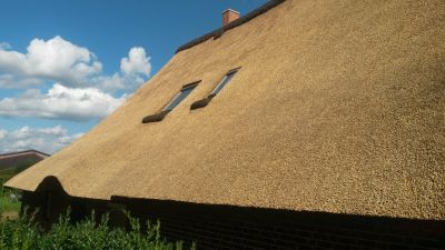 Landhaus-Apartment