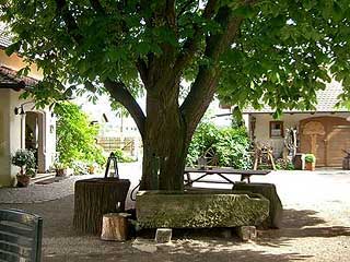 Kutscherhof Marienheim