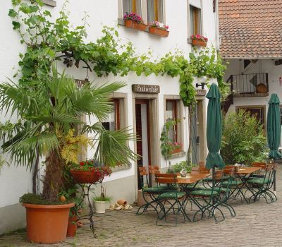 Weingut Ellbr�ck ***G�stehaus