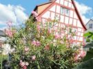 Haus Brigitte in Bad Orb