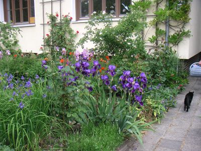 Ferienwohnung Weber Nähe Bergpark und Elena-Klinik