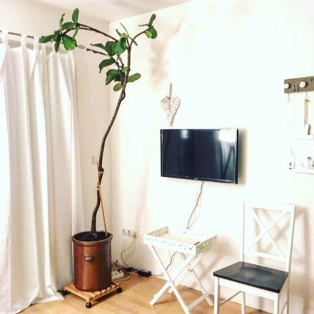 Schauenburg Ferienwohnung Langenbergblick: Ansicht