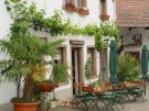 Weingut Ellbrück & Gästehaus in Kirchheim an der Weinstraße