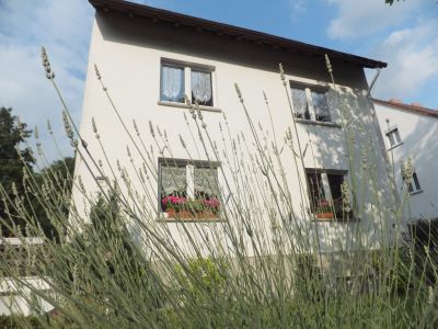 Haus