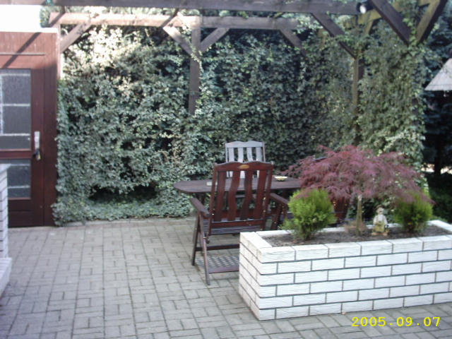 Wolfsburg Appartements Moisig: Terrasse