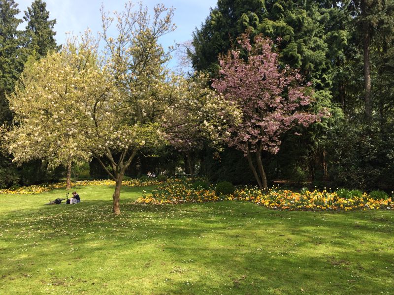 Würzburg Ferienwohnung am Kongresszentrum: Ringpark in der Nähe